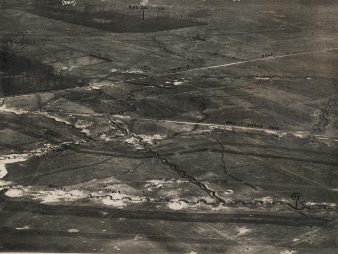 Aerial Trench View, 1917